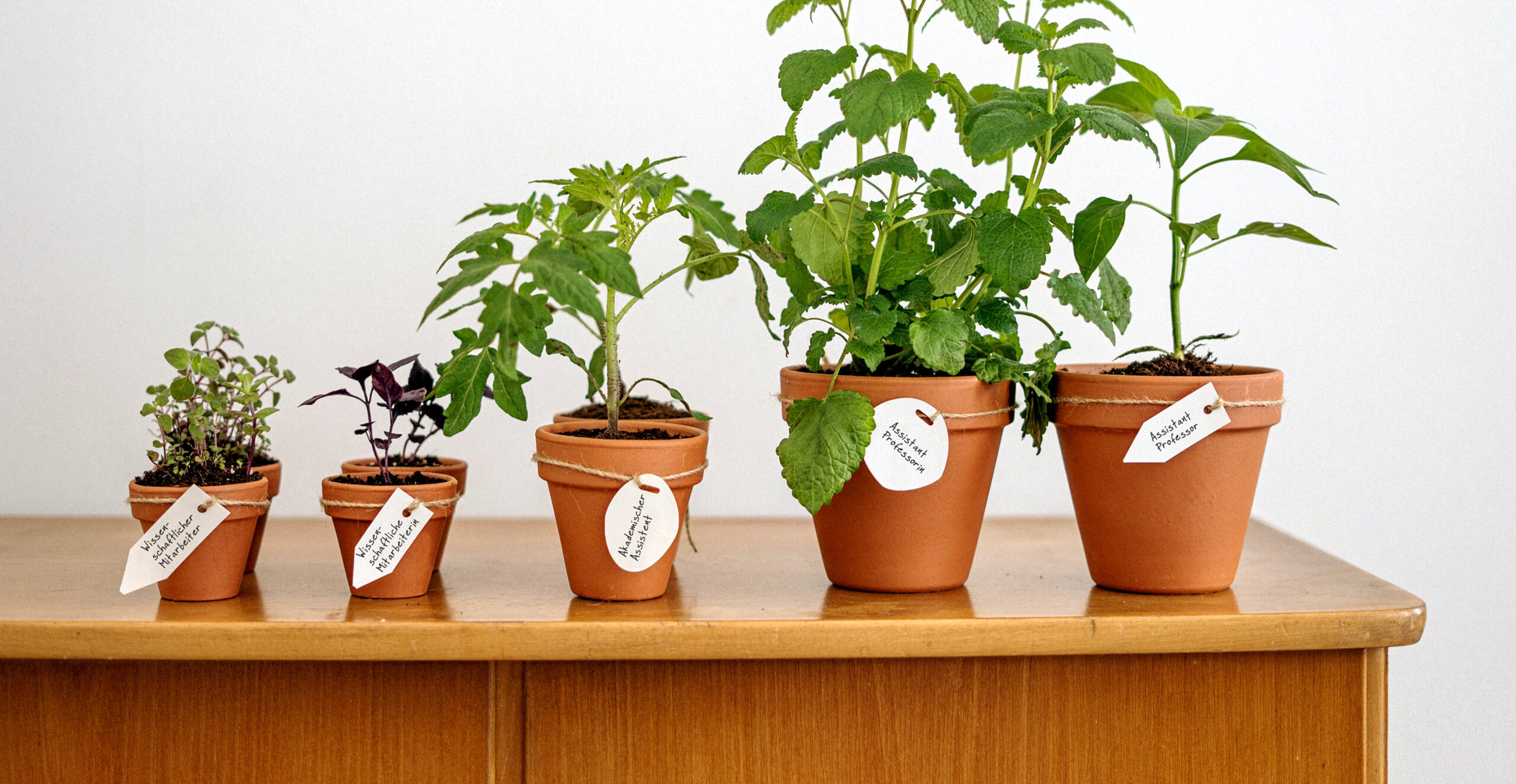 NextGen NextGen (DE)